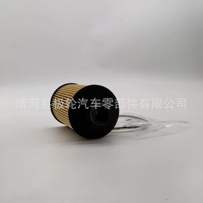 Shuanglong – Oil filter 6711803009 F026407154