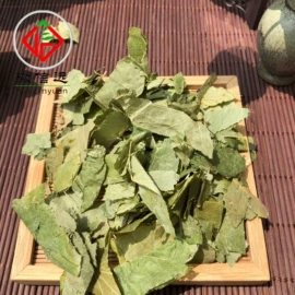 其他滋补;其他药食同源;参类滋补品