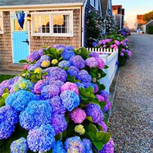 �����������Ϙ���o�M���ļ��_���ͺ�����ֲ����Ͻ�����