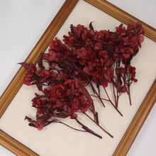 时尚爆款婚礼季干花永生花迎客豆新中式新娘头饰旗袍礼服喜庆配饰