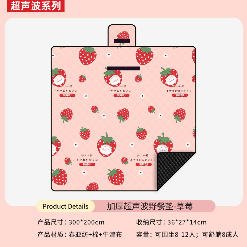 초음파 농축 딸기 2*3m