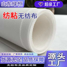 白色PP无纺布成卷聚丙烯纺粘无纺布彩色yi用丙纶不织布无纺布批发