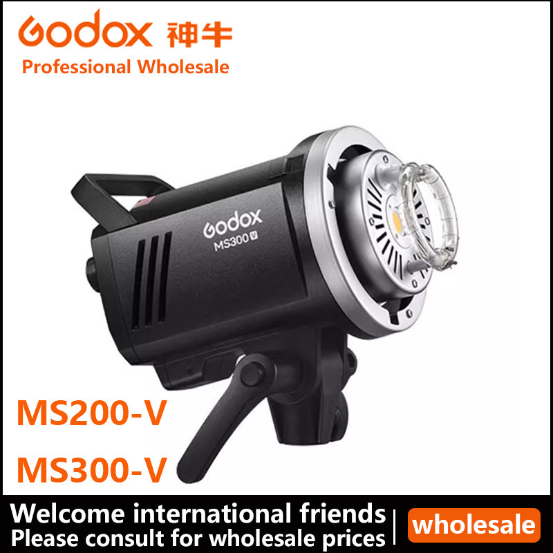 Godox Ms200/300V Studio Flash Photography Light Studio Fill Light Soft Light