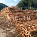 一手3米3-16公分杉木桩 木材打桩木 杉木圆木桩 杉木圆木木桩价格