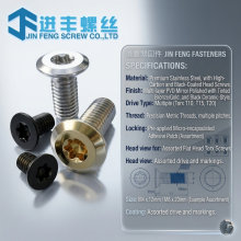 ���P䓳��^÷�������ݽz Stainless Countersunk Torx Locking