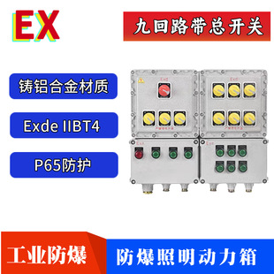 Nine-Circuit Explosion-Proof Lighting Power Drainage Pump with Main Switch, Explosion-Proof Circuit Breaker, Circuit Breaker, Power Supply Control Distribution Box