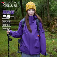 啄木鸟紫色冲锋衣女款2025新款春秋三合一户外防风防水登山服外套