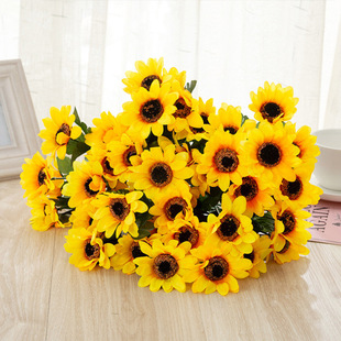 �S��7�����տ����滨 ̫ꖾ�С�ѻ�����̫ꖻ��Ƶ��b��Ҿ��b�