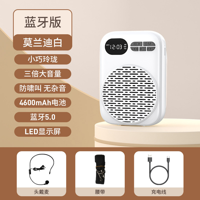 新型のハチの拡声器の教師の授業専用のマイクの大きさは意外にもラッパがブルートゥースの露店の録音を売ります。|undefined