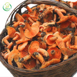 湘西干货纯虎湖南松树菌新鲜土特产野生菌新鲜菌枞树箫寒菌菇清水