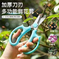 ステンレス花芸ハサミ剪定刀家庭用花枝剪定盆栽園芸ハサミ生花店専用花卉剪定