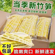 竹笋新鲜嫩笋尖 野生小竹笋清水笋罗汉笋脆笋火锅笋片春笋丝笋子