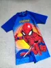Spider -Man Conjunctured