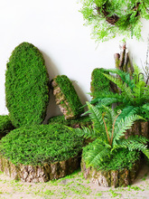 ɭϵ�ֹ�������̦��Ƥ�����A���L����̦�\�����b廨�첼���ز�