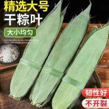 粽子叶粽叶干大号棕叶新鲜包粽子的竹叶子干粽叶商用箬叶批发材料