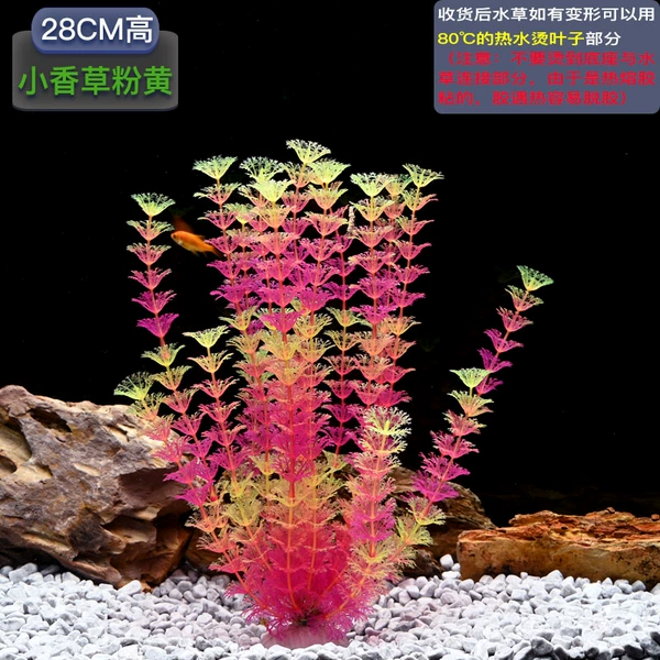 28cm tall vanilla [pink yellow]