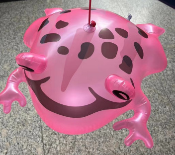 빛과 핑크 수영 개구리