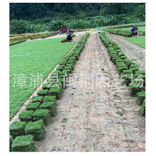 �������l�R������Ƥ  ����̨���݉K �ļ����ƺ ���̾G��������Ƥ