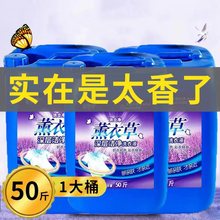 ϴ��Һ��Ͱ50�� �Ƶ��e�^��������ɢ�b ���ü��Ì����b������