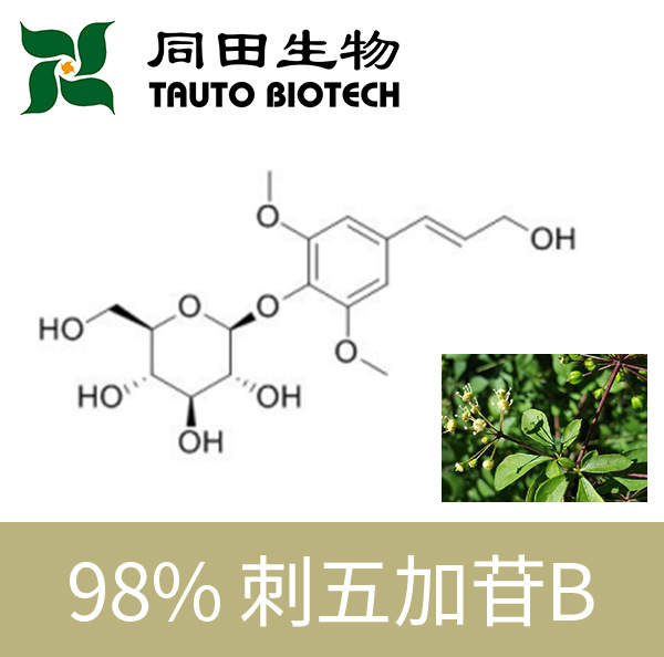 98% 高品质 刺五加苷B 紫丁香苷 118-34-3 1g-100kg源头厂家