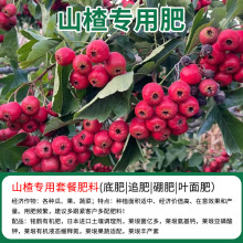 现货山楂专用有机复合肥底肥追肥缓释肥微量元素果树苗颗粒叶面肥