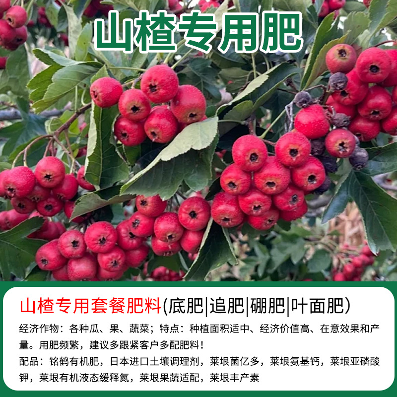 现货山楂专用有机复合肥底肥追肥缓释肥微量元素果树苗颗粒叶面肥