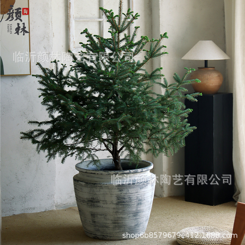 Nuevo tipo simple de maceta de cemento gran boca ancha sala de estar doméstica centro comercial suelo interior gran calibre maceta de plantación verde