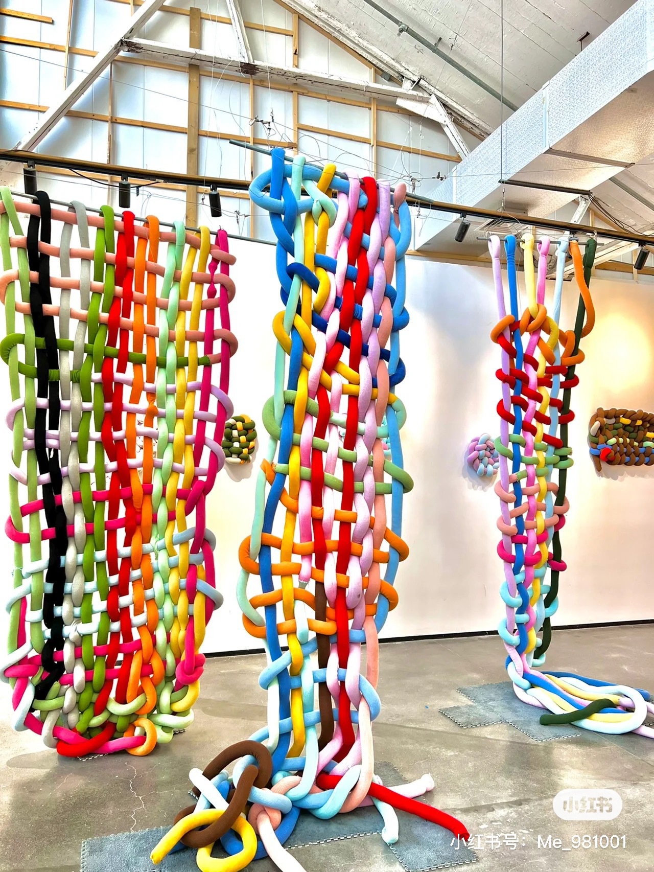 IMG_6851(20230804-113124)