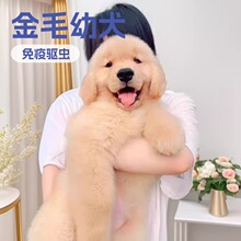 ��ë��Ȯ���w����С����äȮ����ȮѲ��Ȯ�o�lȮ��������Ȯ