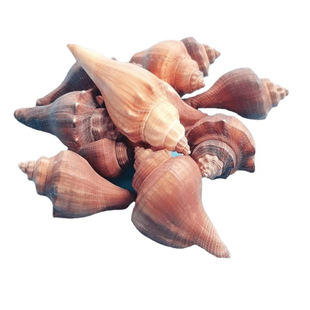 ���ؐ����ˮ���^һ��Ư��ƿؐ��Ӱ΢���^��Сë�Ҿ�ƿ�~��