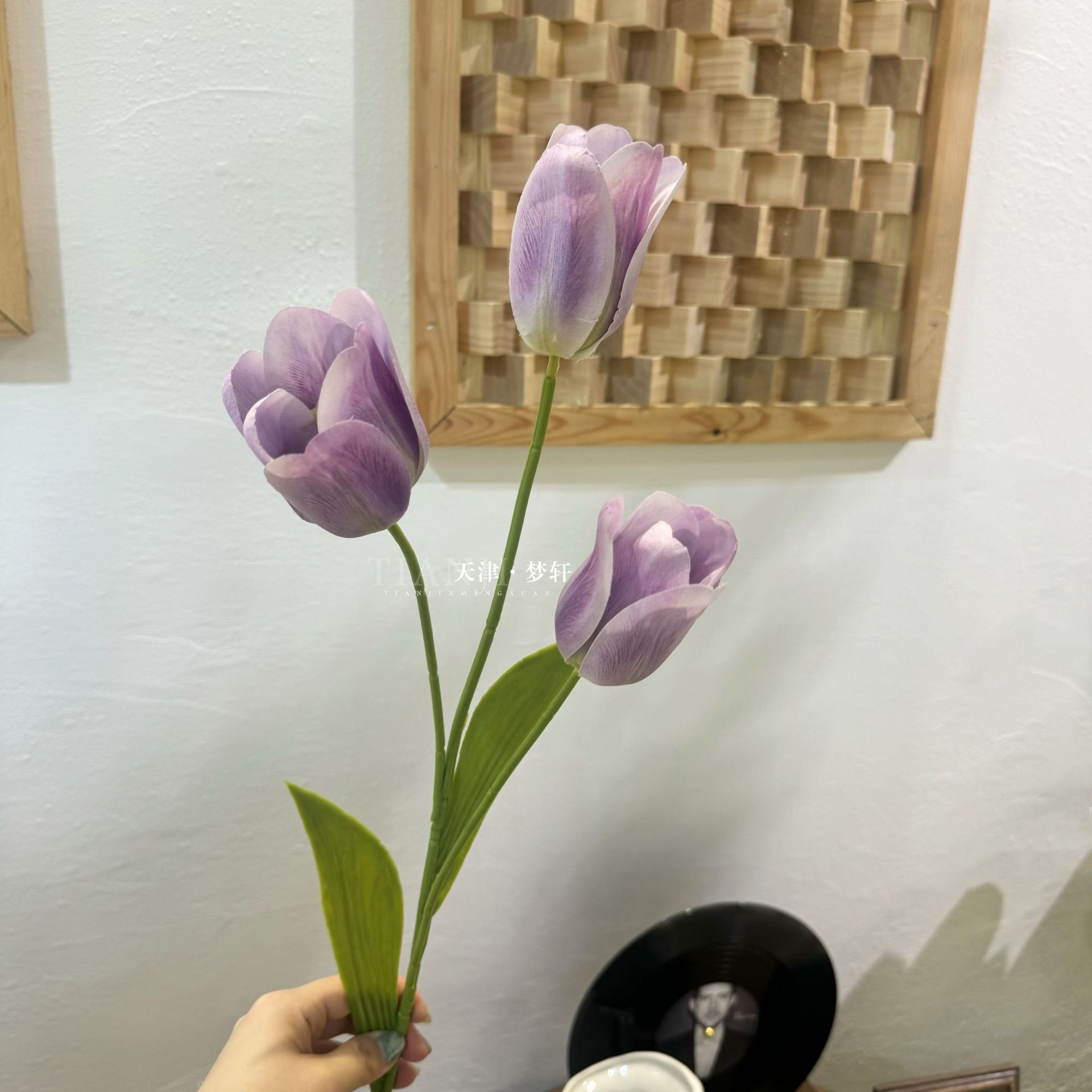 연한 보라색