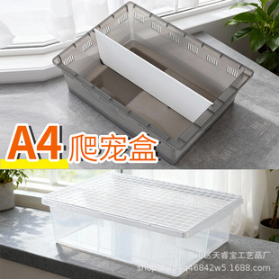 ���x��B�����������x�،m�Q����֩���������΁ţ����ɗ�����A4