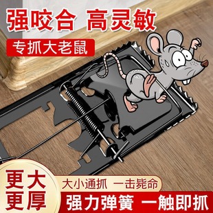 ����A�������؊A�ӏ��������B�m��׽�����F�|̤����A���`�����l