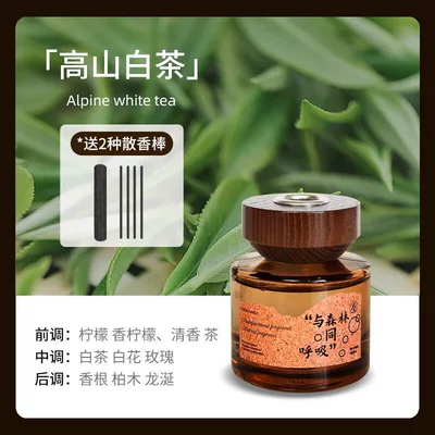 Car Perfume Aromatherapy Model Wooden Agarwood Sandalwood Long-Lasting - high-mountain-white-tea-120ml