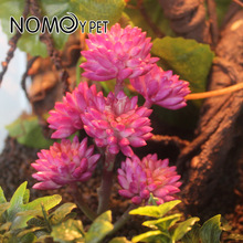 �ZĦ������B���������ɳĮֲ��Ꭷֲ������쾰���B���b�