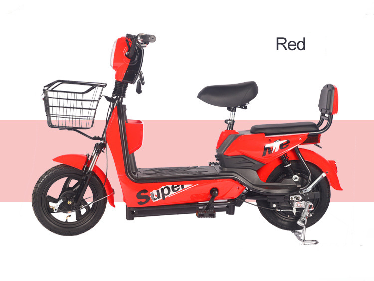 Electric Bicycle for Adults, Men and Women, Long Range