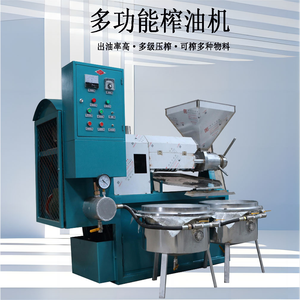 多功能螺旋榨油机冷热两用菜籽花生葵花籽榨油机不锈钢螺旋榨油机