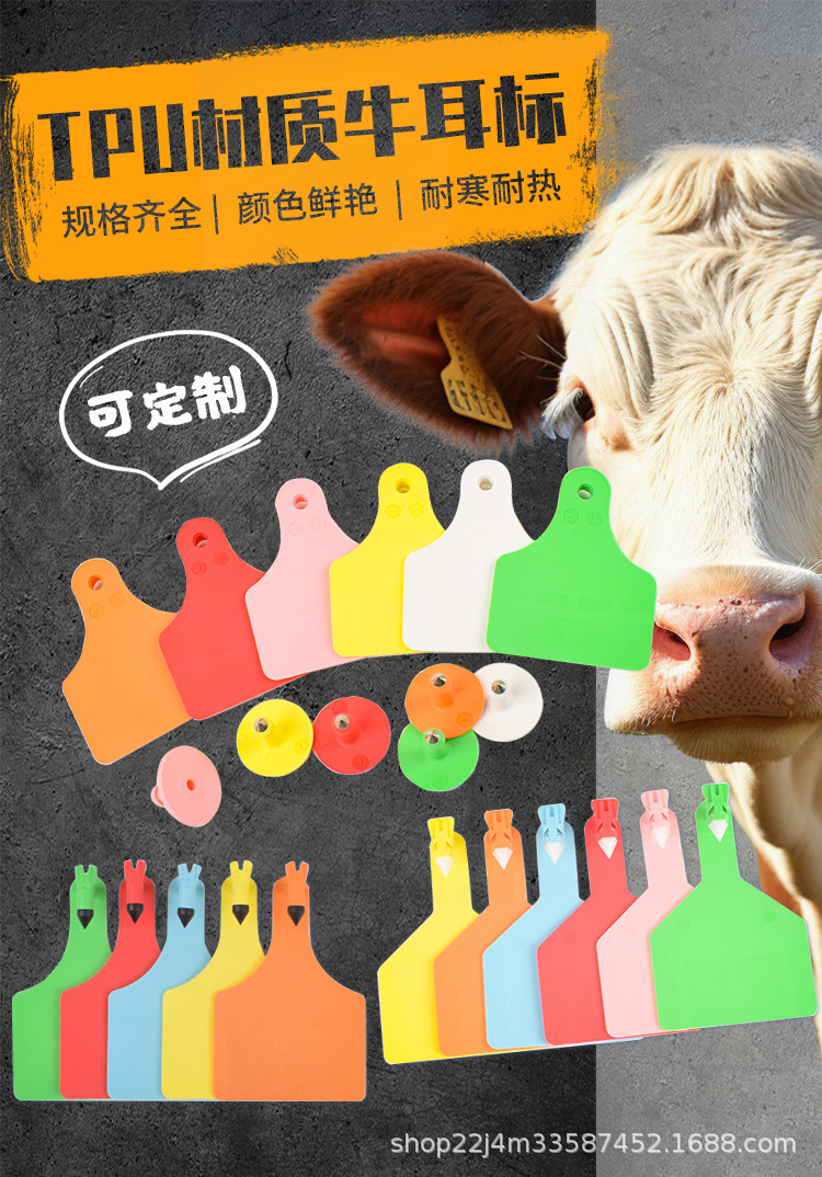 TPU牛详情_01.jpg