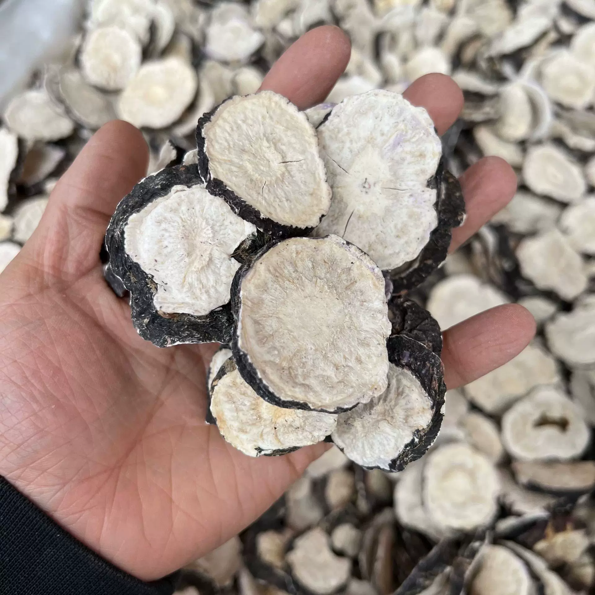 云南丽江黑玛咖干果批发 玛咖 玛卡干片马卡产地大货供应代发