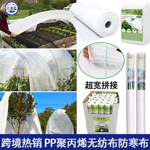 �羳�Ӻ�o���������� ͸�Ᵽ����xpp�۱�ϩ�o����������