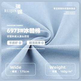 冰酷棉布料 160g聚酯纤维PPT春夏速干运动服T恤针织面料