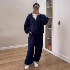 2025秋季新款跨境欧美外贸女装长袖卫衣连帽休闲开衫气质休闲套装