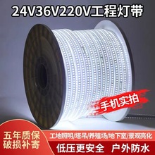 36v灯带led超亮工地隧道地下室工程户外照明24v防水灯条白光低压