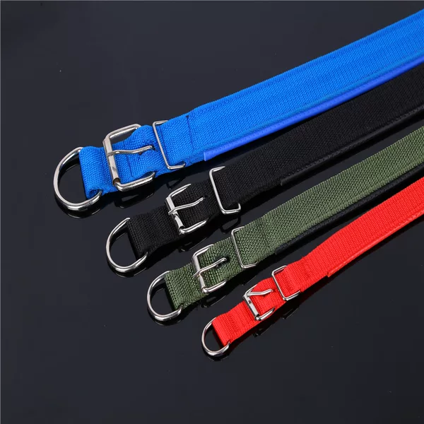Factory spot direct sales!! Bubble Pet Collar! Dog Collar Pet Traction Dog Collar Dog