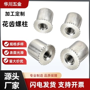 ���P䓉��T��ĸ���P䓉�����ĸ���X��ĸ������ĸ�A�^ͨ����ĸ�ӹ�