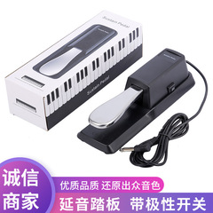 Electric piano sustain pedal electronic keyboard keyboard synthesizer universal piano metal pedal instrument accessories
