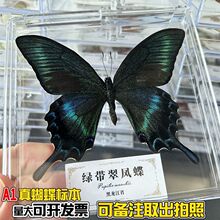 ������˱���չ�����͸�����b�̌W��Ʒ �Ĕz���߄����ֹ�diy�b�