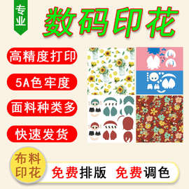 专业布料数码印花 图片面料格裙 打样 作业 毕设打印