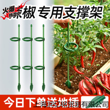 Lz�������ӷ������t������֧�μ�����֧�ΗU������֧�ܷ����̶�֧