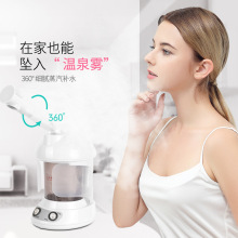 金稻KD-2328蒸脸器大水箱蒸脸器家用离子美容仪加湿补水仪美容院